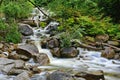 Rushing water over rocks in a creek