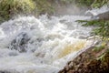 Rushing Waterfall with Lush Grass in Rocky Mountain National Park Royalty Free Stock Photo