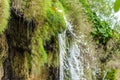 Rushing Waters Flowing with High Speed from a Waterfall. Water Flows through Mossy and Steep Rocks Royalty Free Stock Photo