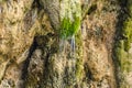 Rushing Waters Flowing with High Speed from a Waterfall. Water Flows through Steep and Mossy Rocks Royalty Free Stock Photo