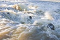 Rushing waters of a swollen river during the rainy season