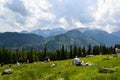 Tourists are resting on Rusinowa Polana after mountain trekking, Poland Royalty Free Stock Photo