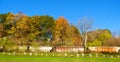 SaltPoint rusty train cars await locomotive return NYS