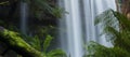 Russel Falls in Mount Field National Park.