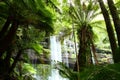 Russel Falls Mt Field National Park, Tasmania, Aus