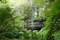 Russel Falls Mt Field National Park, Tasmania, Aus