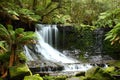 Russel Falls Mt Field National Park, Tasmania, Aus