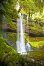 Russell Falls, Tasmania Royalty Free Stock Photo