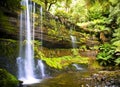 Russell Falls, Tasmania Royalty Free Stock Photo