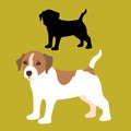 Russell dog puppy flat style vector illustration profile