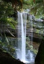 Russell Falls, Rain Forest Waterfall Royalty Free Stock Photo