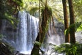 Russell Falls, Tasmania