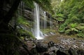 russell falls waterfall in tasmania in australia Royalty Free Stock Photo