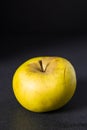 Russet apple on dark background Royalty Free Stock Photo