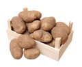 Russet potato Royalty Free Stock Photo
