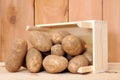 Russet potato Royalty Free Stock Photo