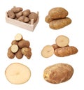 Russet potato Royalty Free Stock Photo