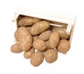 Russet potato Royalty Free Stock Photo