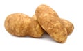 Russet potato Royalty Free Stock Photo