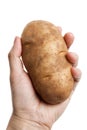 Russet Potato Royalty Free Stock Photo
