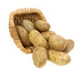 Russet potatoes spilling from basket Royalty Free Stock Photo