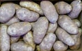 Russet pototoes raw fresh healthy vegetable