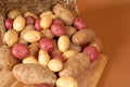 Russet, red and white potatoes spilling out of a basket onto cut Royalty Free Stock Photo