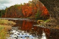 Russet trees by the River Spey, Grantown Royalty Free Stock Photo