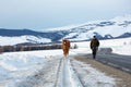 A man leads a red horse along the side of the road. Winter landscape. Small hills and forest in the background. Asphalt road