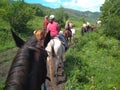 A group of people tourists on horseback participate in a horseback trip to the mountains in