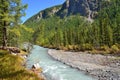 Russia, Altai Republic, river Karakabak Royalty Free Stock Photo
