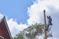 Russia 2020. An arborist cutting a tree with a chainsaw. color