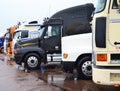 Russia, Bykovo,29.05.2021. Trucks at the TRUCKFEST 2021 cargo Transport Festival