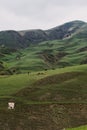 Russia, Caucasia, Ingushetia. Green mountain on blue sky background