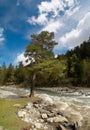 Russia. Caucasus. Zelenchuk river.