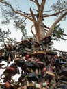 Russia, Chelyabinsk 08/05/2020 Concept on the topic of marital fidelity. A tree hung with locks from the newlyweds.