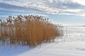 Russia, Chelyabinsk region. Nature monument - lake Uvildy in winter innfrosty day