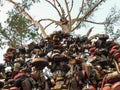 Russia, Chelyabinsk 08/05/2020. A tree hung with locks of the newlyweds. Wedding tradition, a promise of love Royalty Free Stock Photo