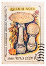 Post stamp printed in USSR CCCP, soviet union shows poisonous panther cap mushroom or false blusher amanita pantherina