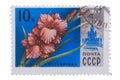 RUSSIA - CIRCA 1978: stamp printed in USSR CCCP, soviet union Royalty Free Stock Photo