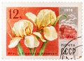 Stamp printed in USSR CCCP, soviet union shows image of Ilich anniversary iris and Lenin central museum