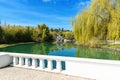 Russia city of Sochi Adler district park Southern cultures. Pond with reflection of trees