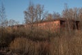 Russia, early spring, authentic original landscape, Peterhof, high dry grass