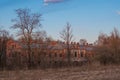 Russia, early spring, authentic original landscape, Peterhof, high dry grass