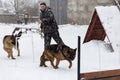 The man trains German shepherds, in winter