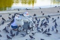 Russia Kaliningrad 2019 girl with child feeding pigeons with it