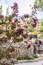 2021-05-07. Russia. Kamensk-Shakhtinsky, Rostov region. Beautiful decor elements in the park for tourists. Waterfall among the