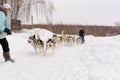 Russia. Kazan. 14 Feb. Dog sled team of siberian huskies out mushing on snow pulling a sled that is out of frame through a winter