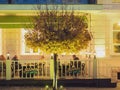 Russia, Kislovodsk 02.11.2021. Autumn maple grows in the alley in front of a street cafe in the evening illumination