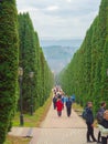 Russia, Kislovodsk 03.11.2021. Tourists stroll along the alley in high thujas planted along the hilly valley. National